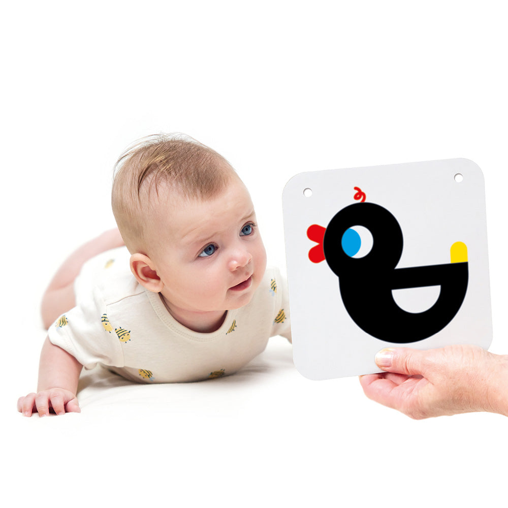 Babykort med høj kontrast 0 mdr.+ / 3 mdr.+