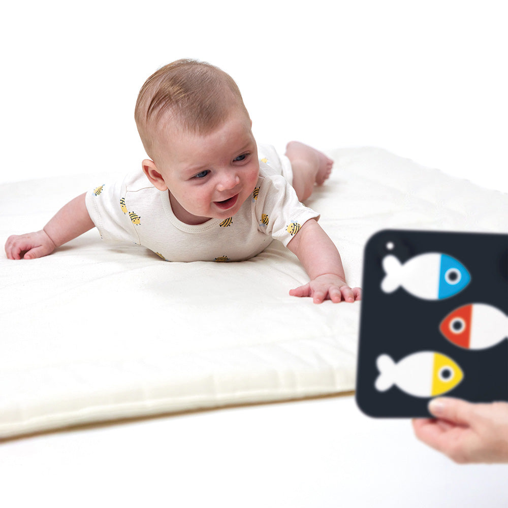 Babykort med høj kontrast 0 mdr.+ / 3 mdr.+
