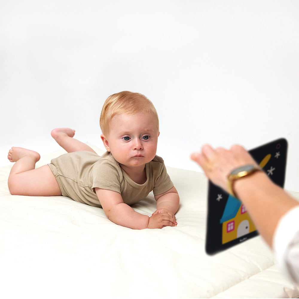 Babykort med høj kontrast 6 mdr.+ / 9 mdr.+
