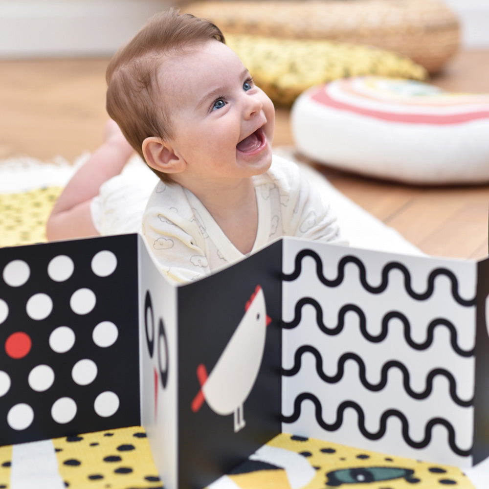 Baby-pakke med høj kontrast 0+/3 mdr.+/6 mdr.+