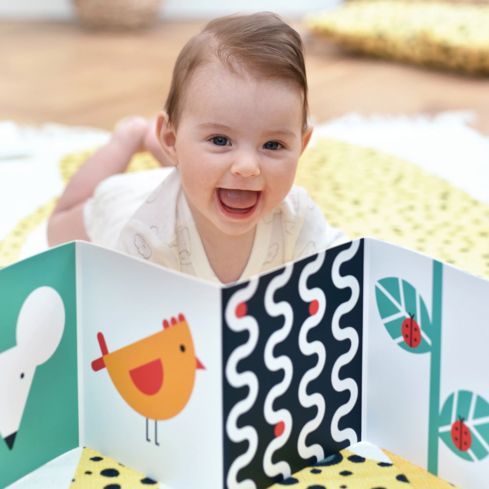 Baby-pakke med høj kontrast 0+/3 mdr.+/6 mdr.+