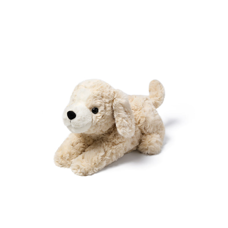 Sød spaniel