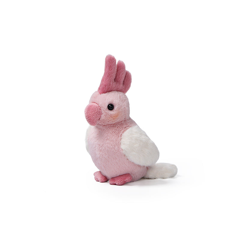 Galah-papegøje