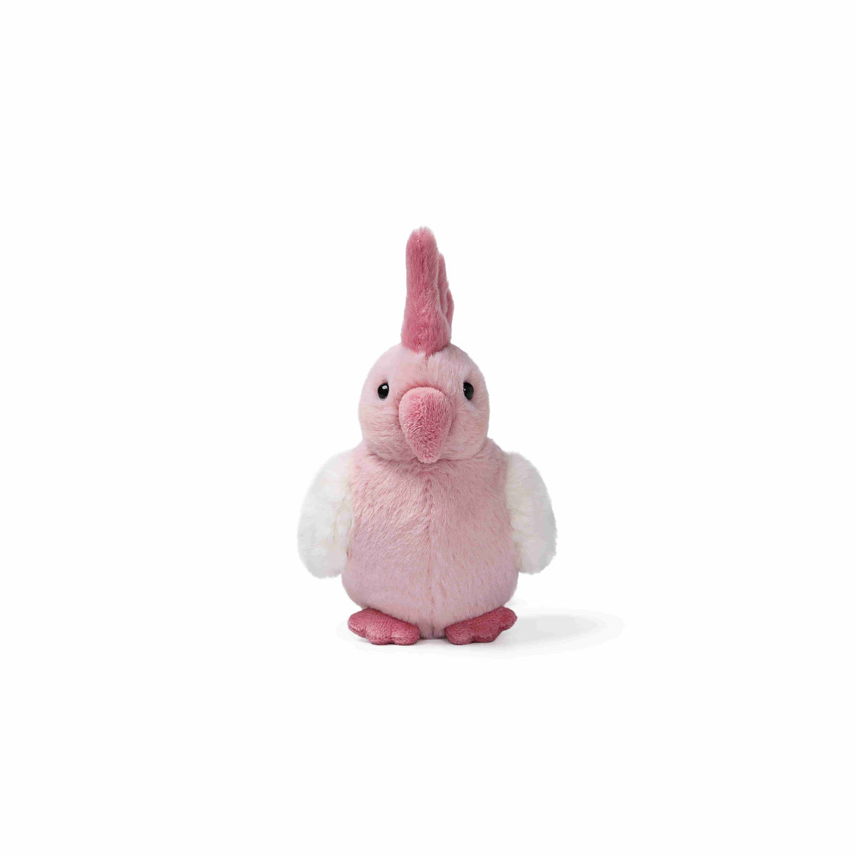 Galah-papegøje