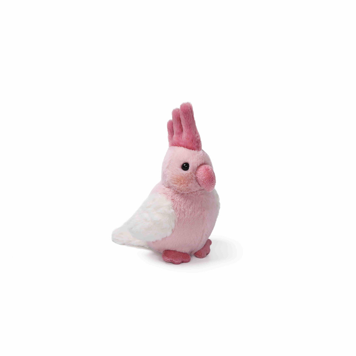 Galah-papegøje