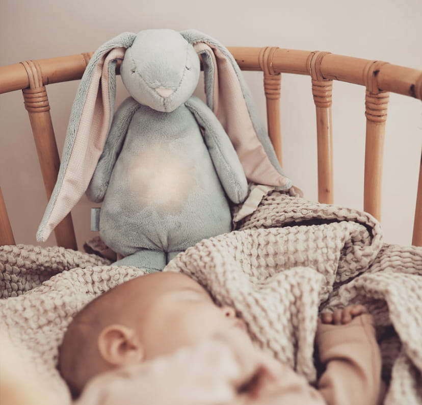 MOONIE 2.0 den summende ven – Cloud